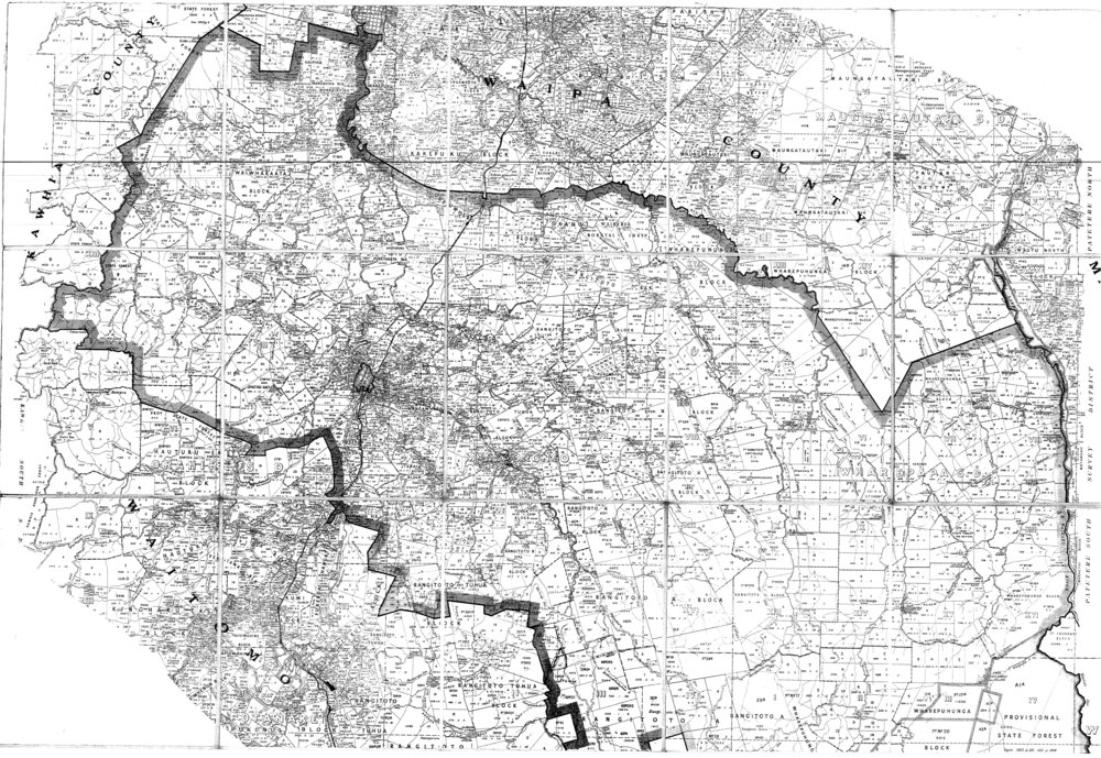 Otorohanga County: cadastral map