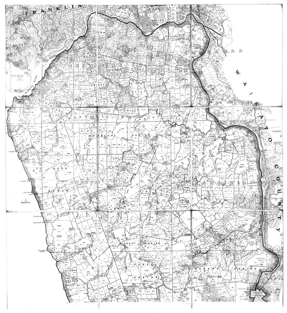Raglan County: cadastral map
