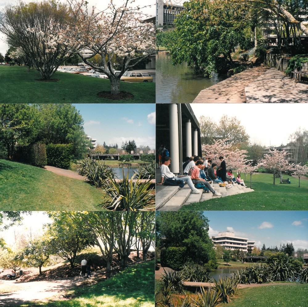 Montage of views near Oranga Lake