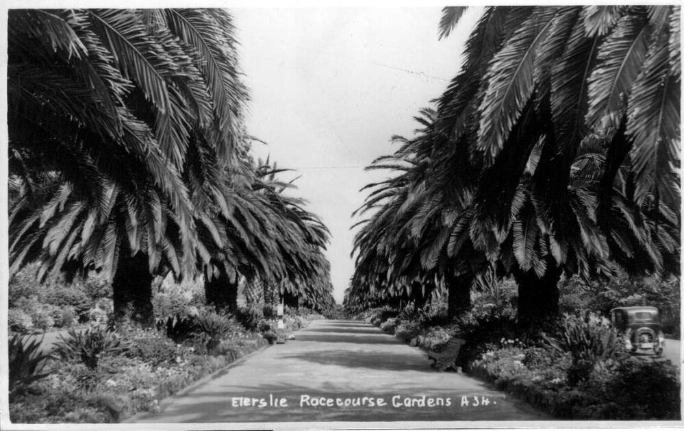 Ellerslie Racecourse gardens