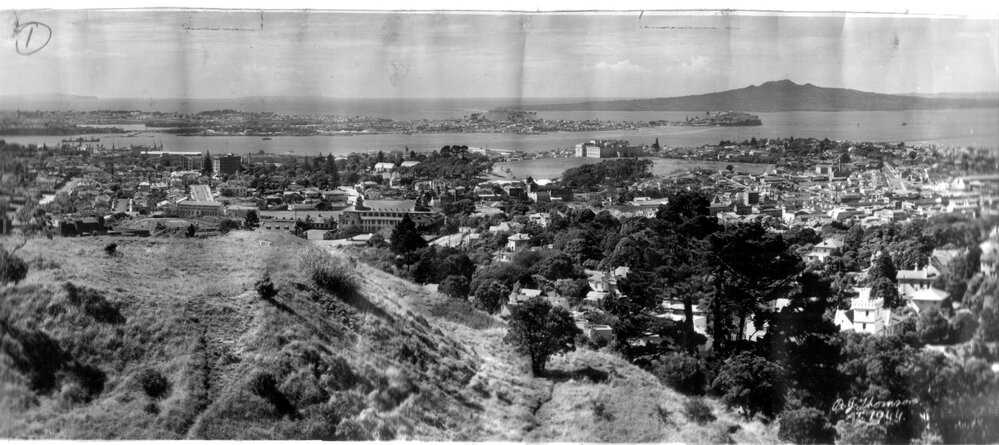 Auckland City and Harbour from Mount Eden
