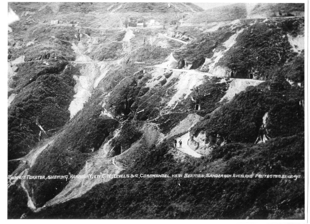 Summit of Tokatea showing Harbour View Gold Mine