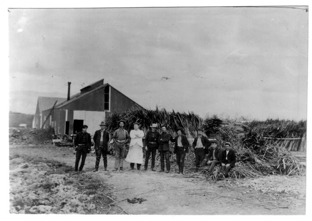 Seifert's Flax Mill Manawatu District