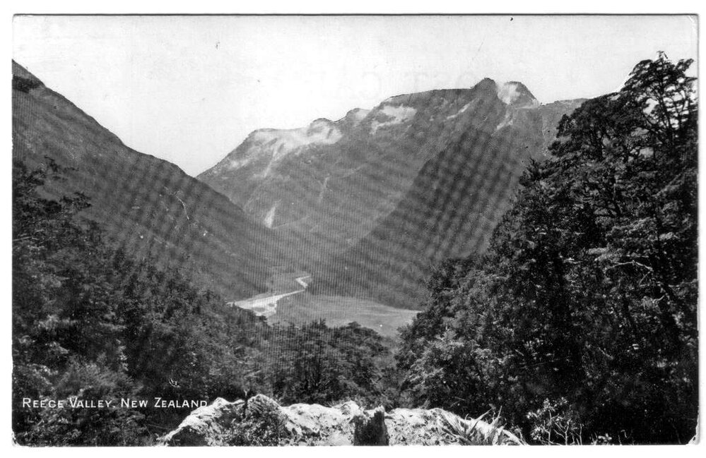Reece Valley New Zealand