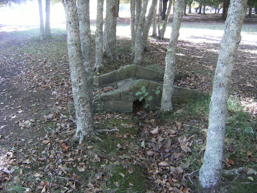 Stone bridge under trees