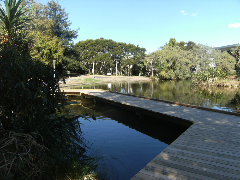 Knighton Lake boardwalk