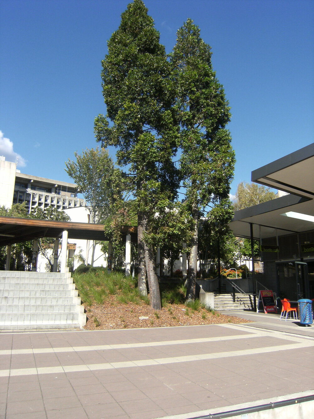 Landscaping next to university shops