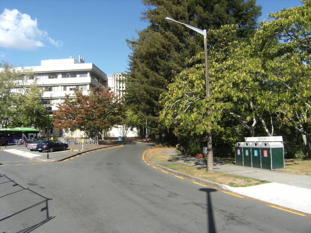 Landscaping next to bus stop