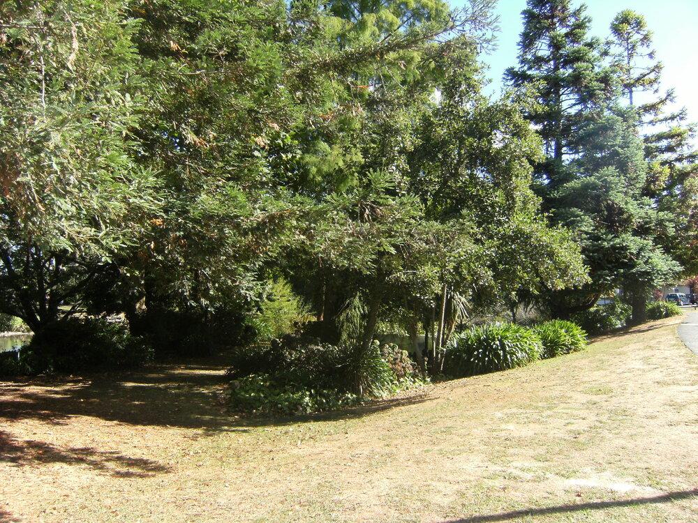 Landscaping near Chapel Lake