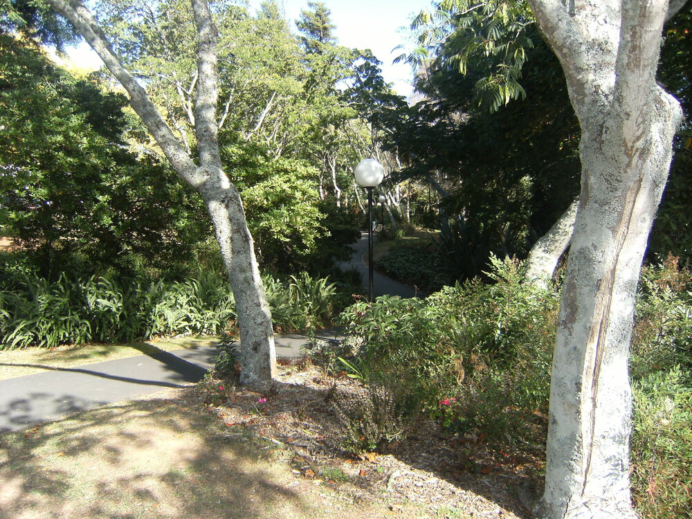 Landscaping around Chapel Lake walkway