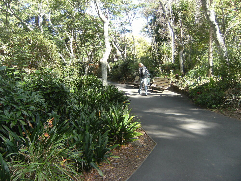 Pathway between university bus stop and ITS