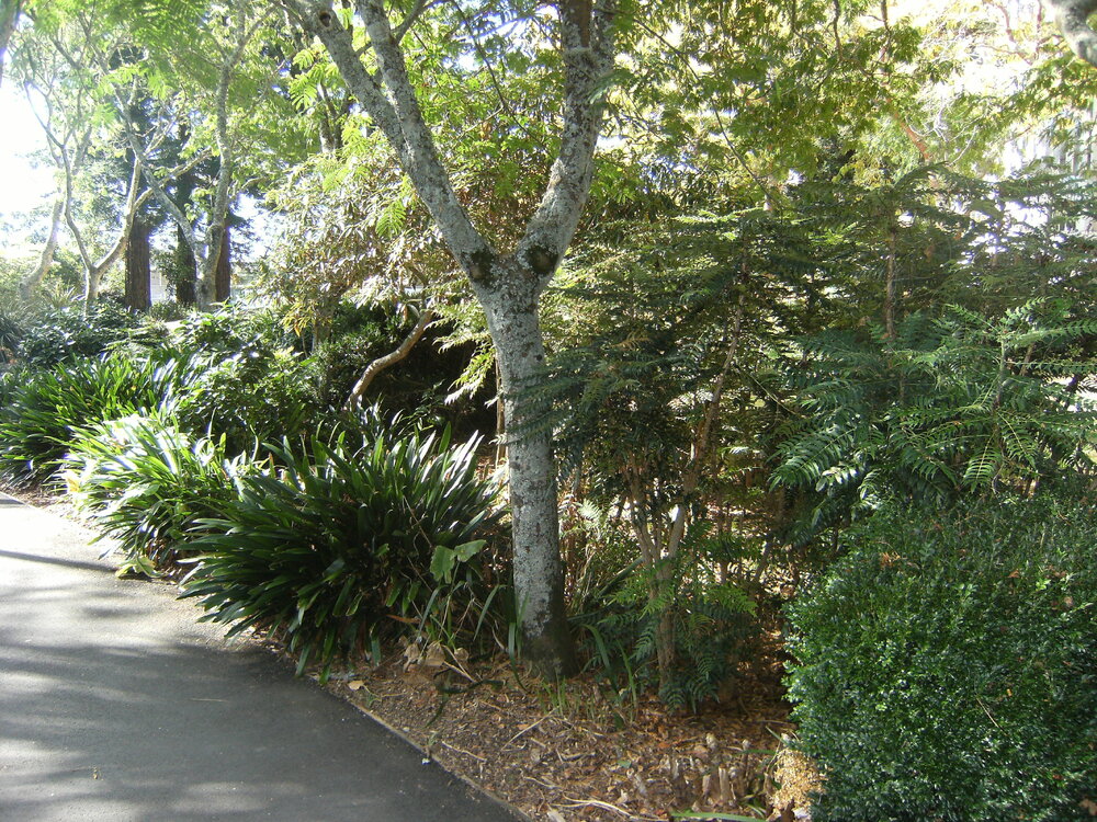 Pathway landscaping 