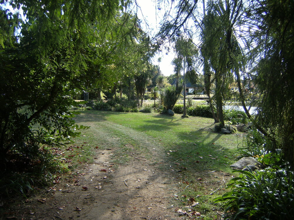 Landscaping beside Chapel Lake