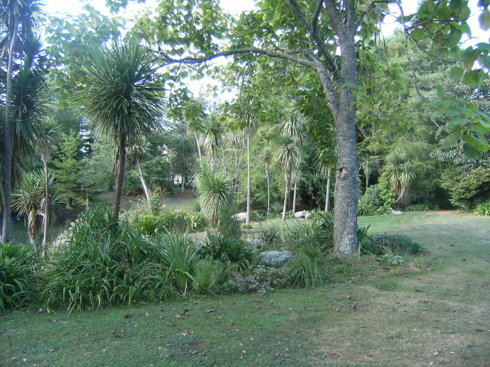 Landscaping and plants beside Chapel Lake