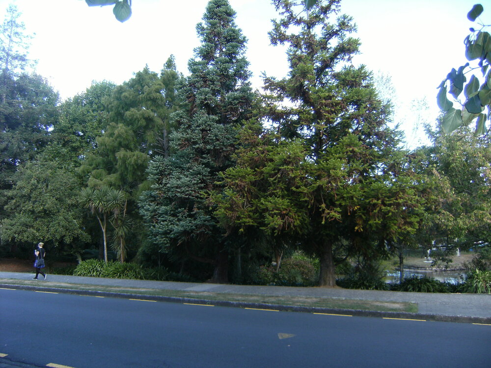 Chapel Lake as viewed from Unirec