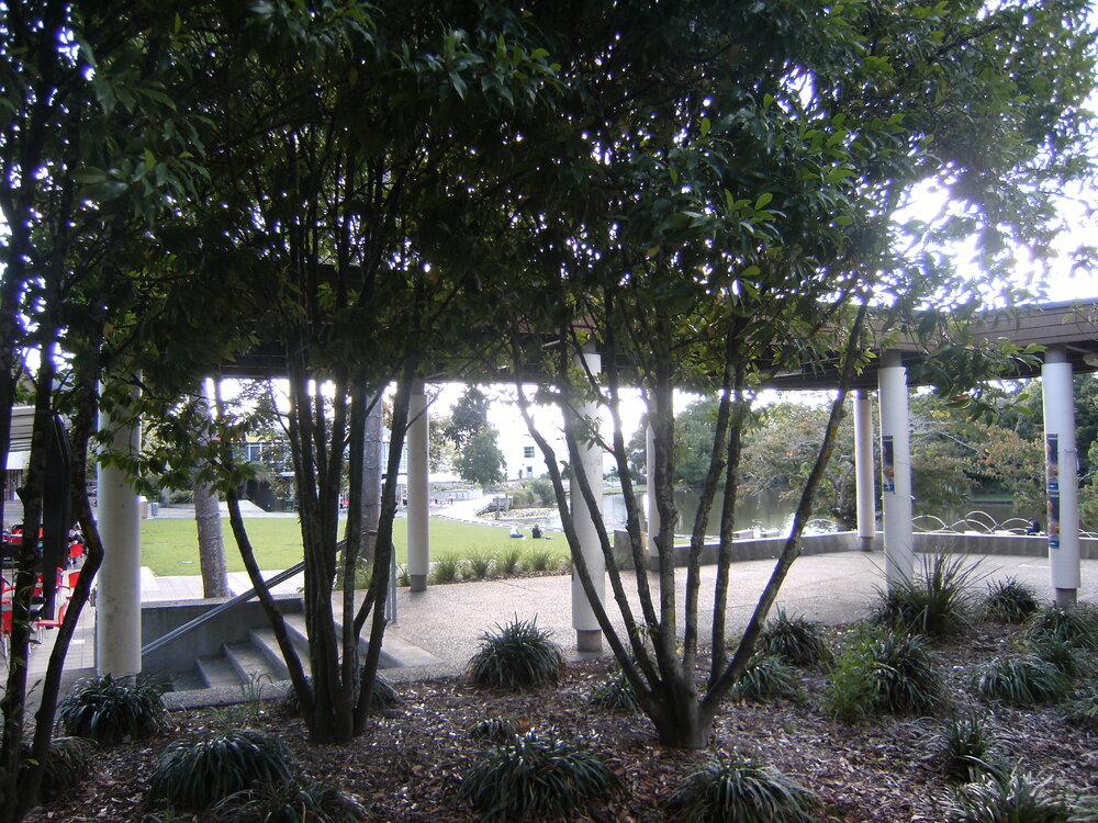 Landscaping near university shops