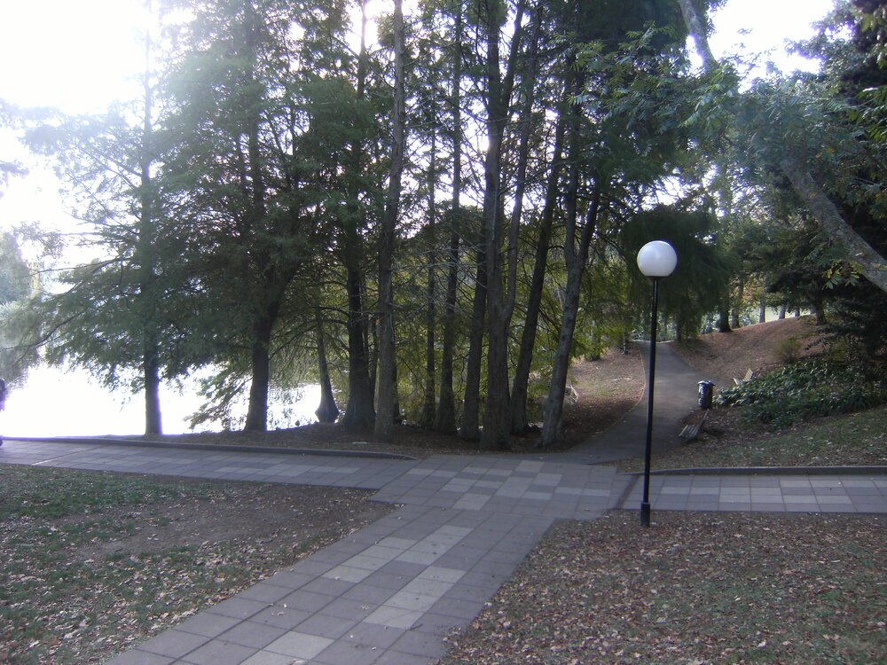 Pathway intersection by Oranga Lake