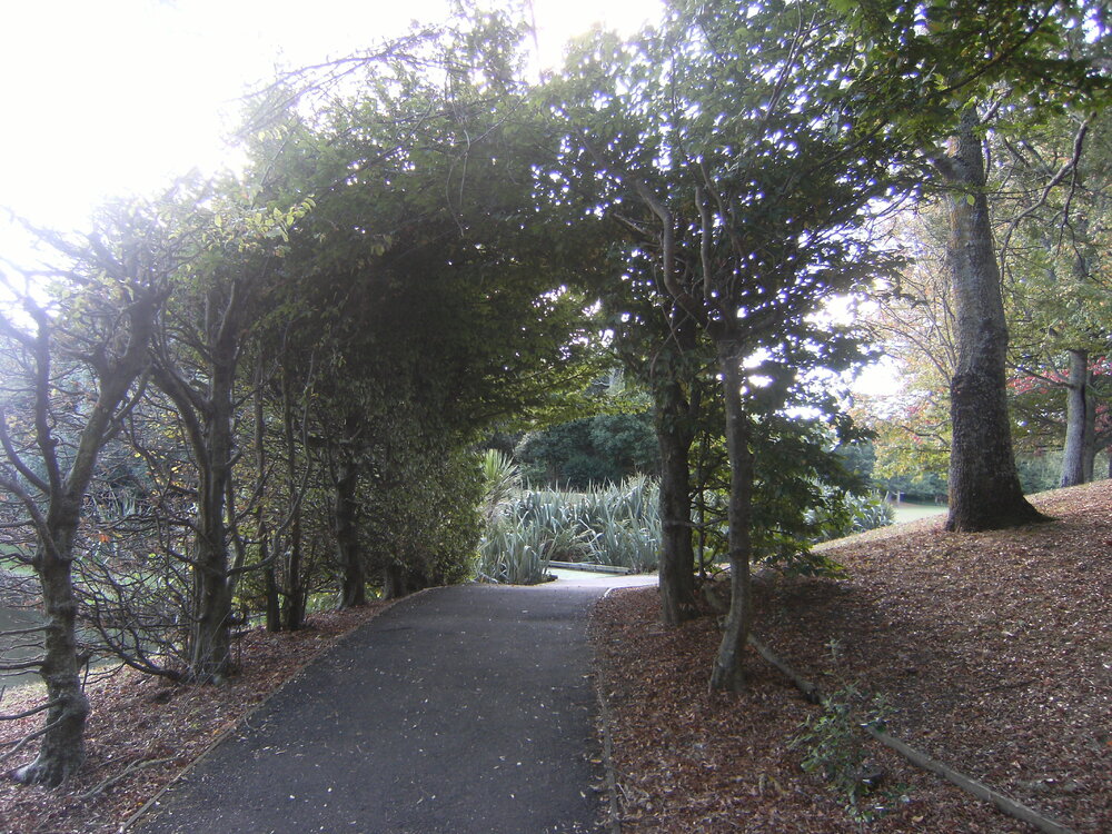 Pathway from Library to Gate 2b