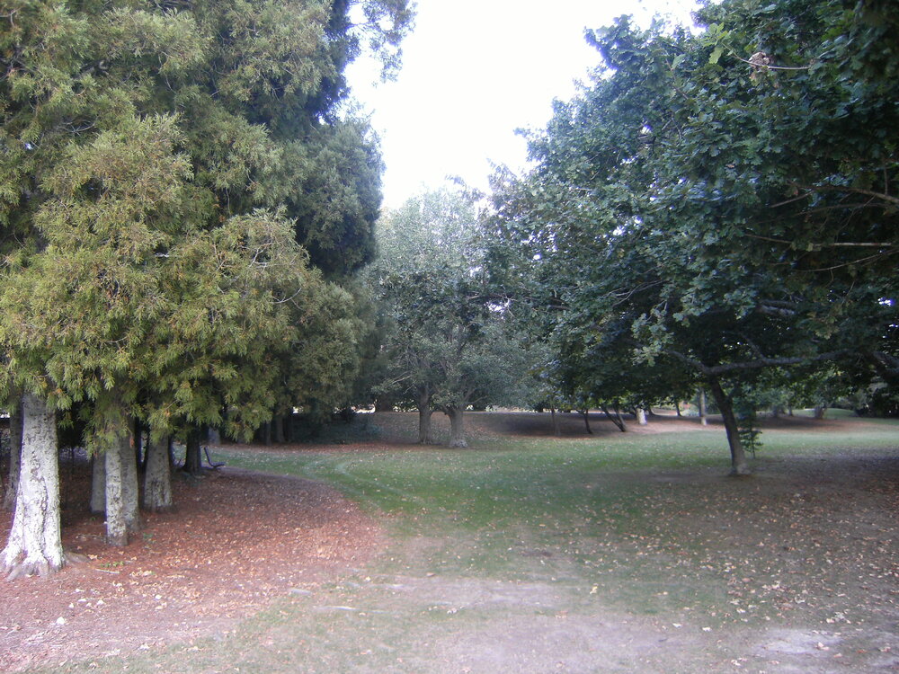 Tree landscaping between sports fields and lakes