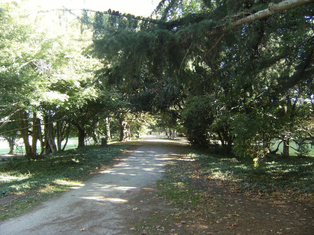 Accessway near sports fields