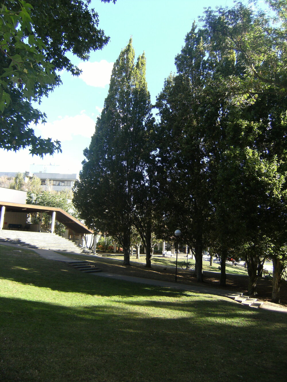 Landscaping near Oranga Lake