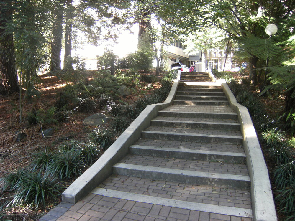 Steps and landscaping leading up to J Block