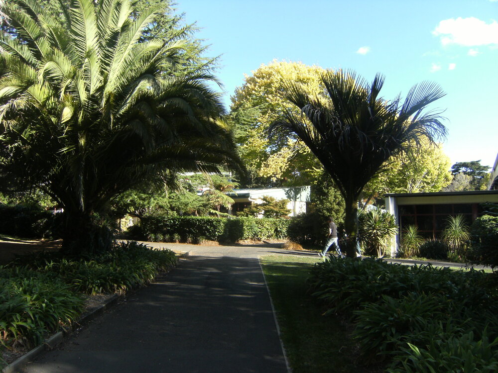 Landscaping near ITS