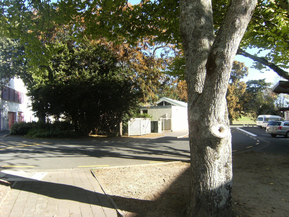 Landscaping behind ITS
