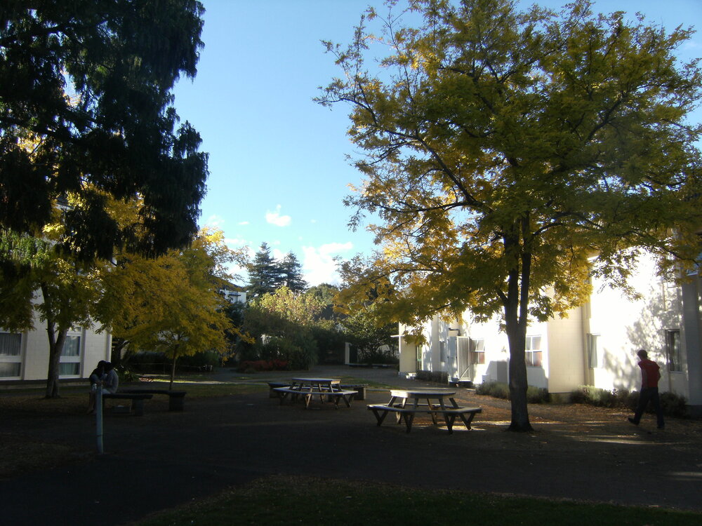 Landscaping near Student Village