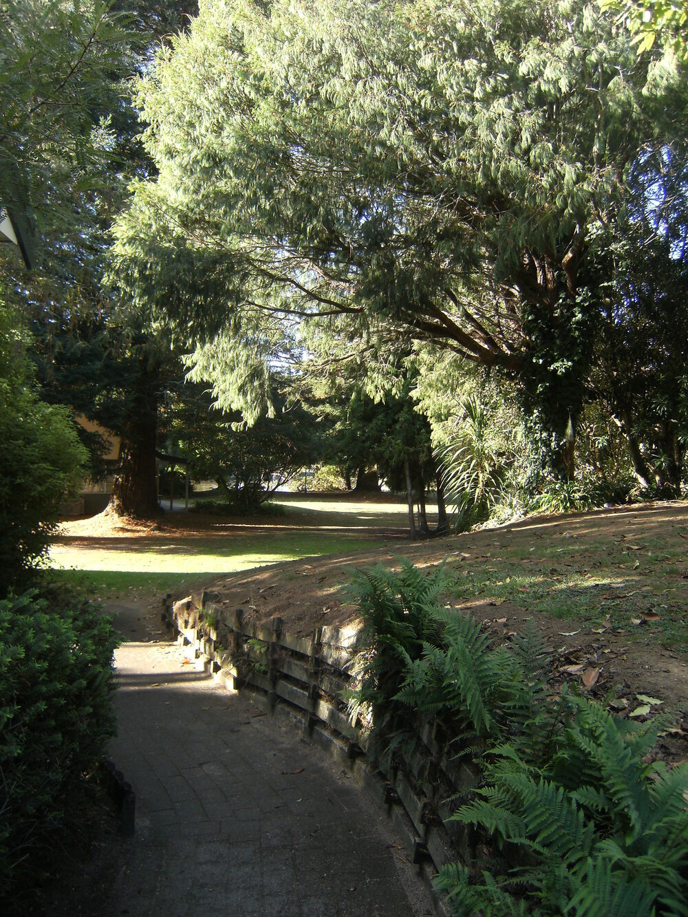 Pathway from Student Village to Knighton Lake