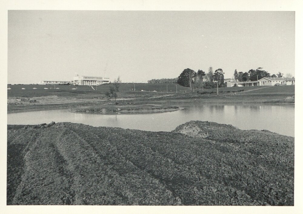 Early stages of Knighton Lake