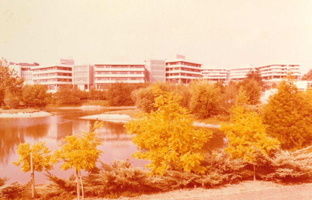 Vista of K, J, I Blocks