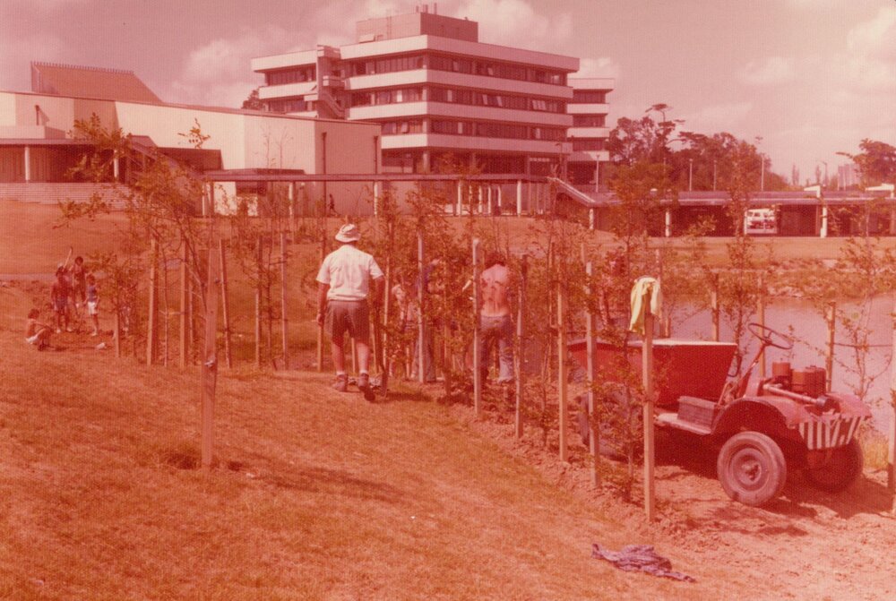 Landscaping around the edge of Oranga Lake