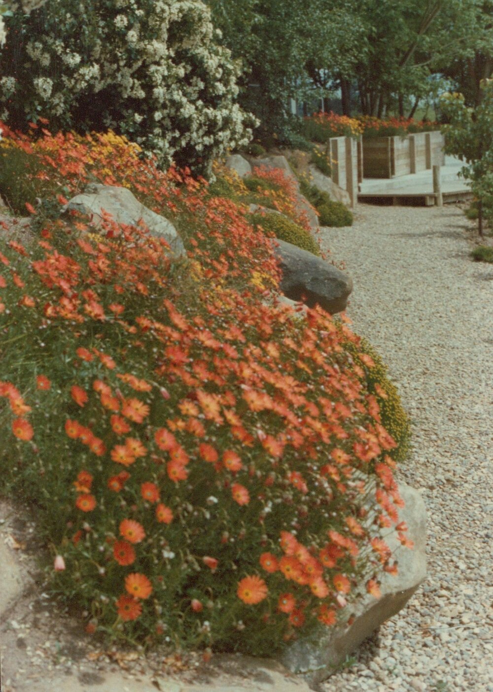 Hamilton campus plantings 01