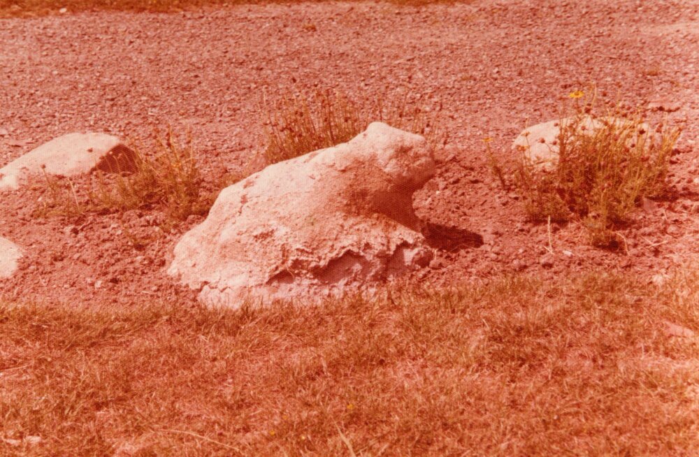 Landscaping featuring rocks