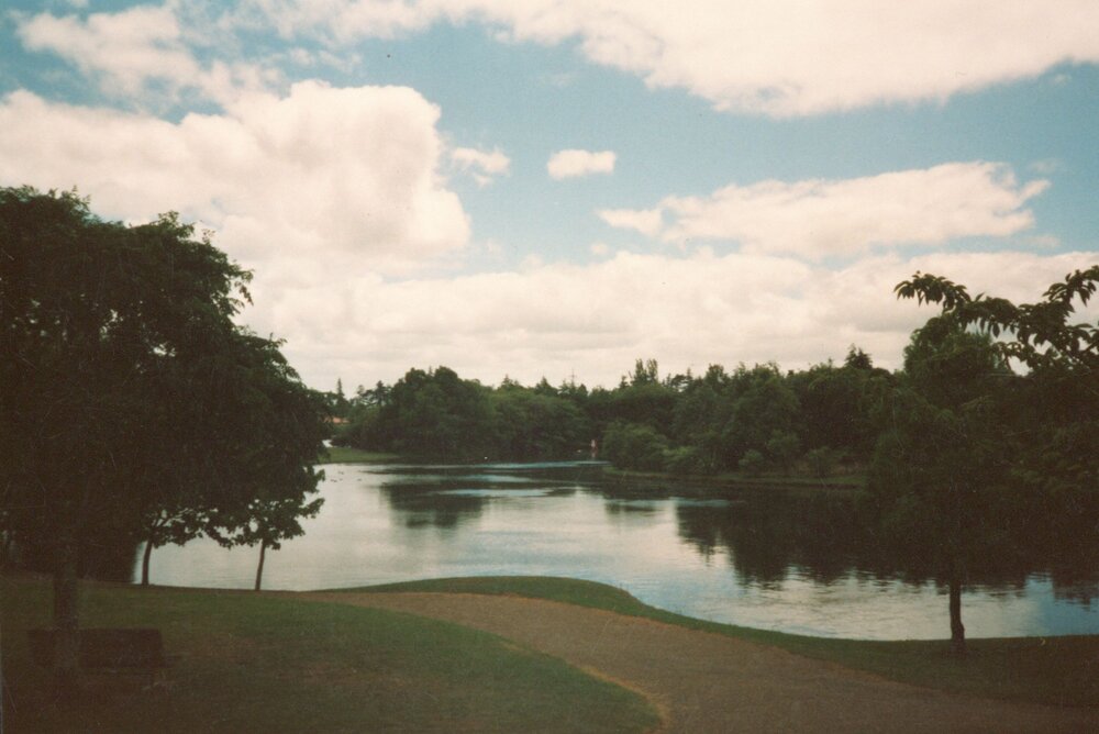 Knighton Lake looking north