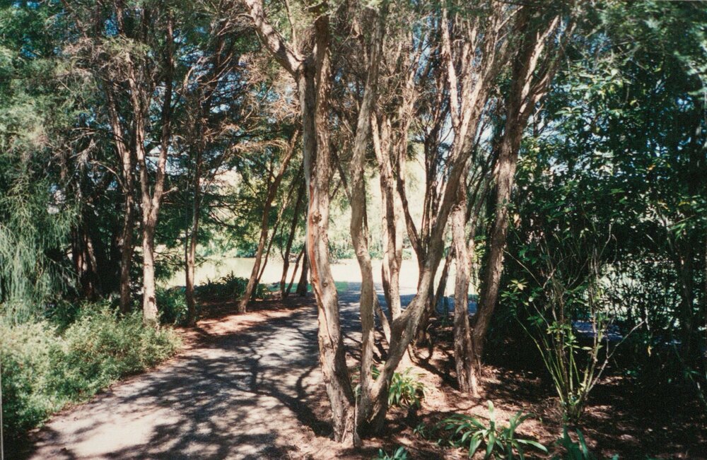 Unknown pathway