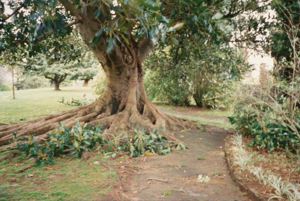 Unknown park location