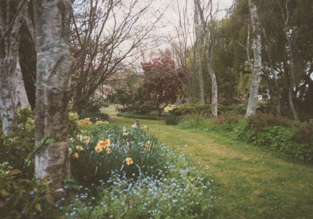 Landscaping on Knighton Lake pathway near present-day Gate 2b