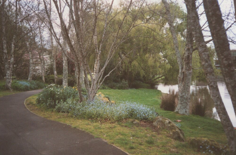 Landscaping on Knighton Lake pathway