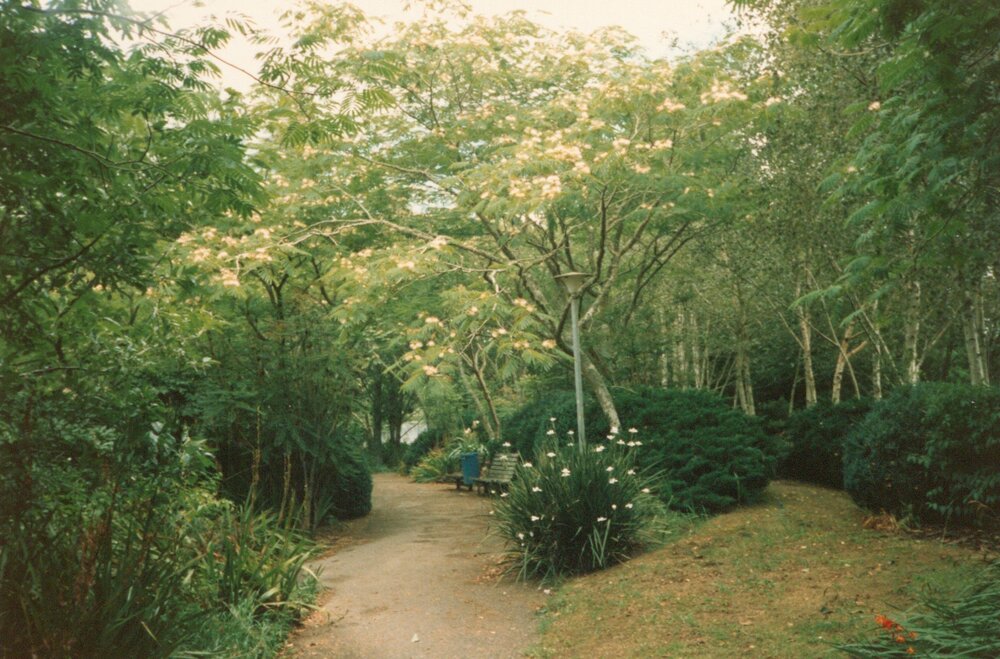 Pathway and landscaping near Chapel Lake