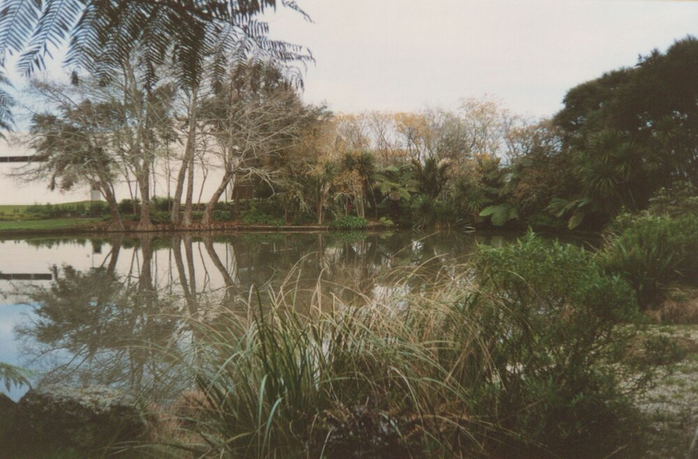 Oranga Lake and Gallagher Academy of Performing Arts