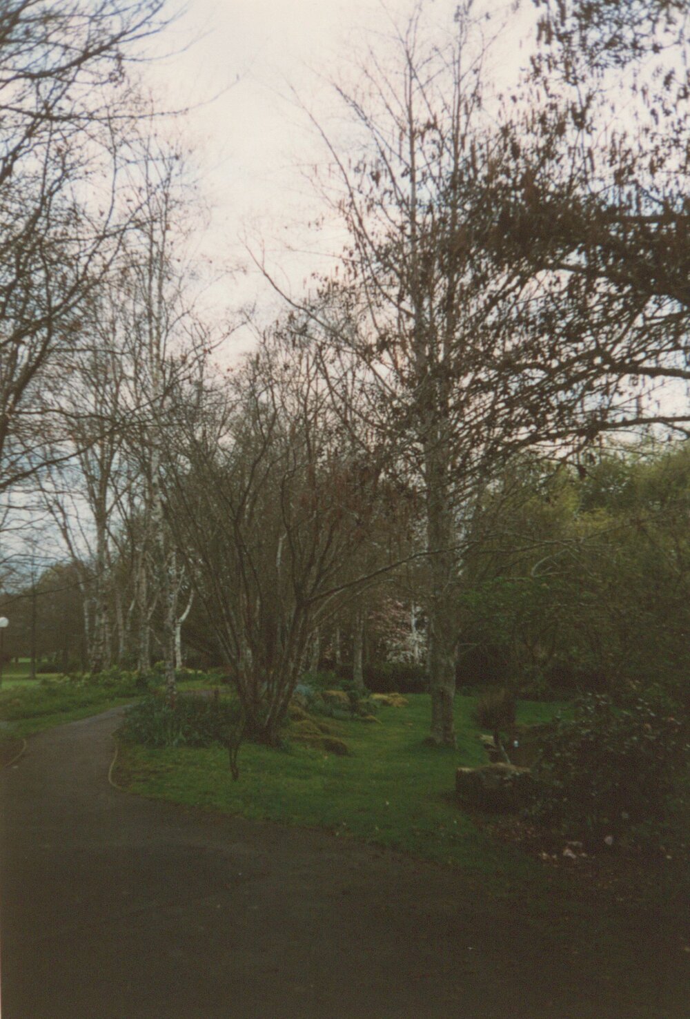 Landscaping on Hamilton Campus