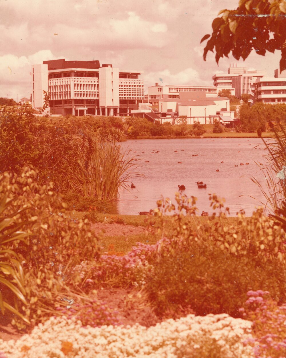 Oranga Lake, Library, L Block