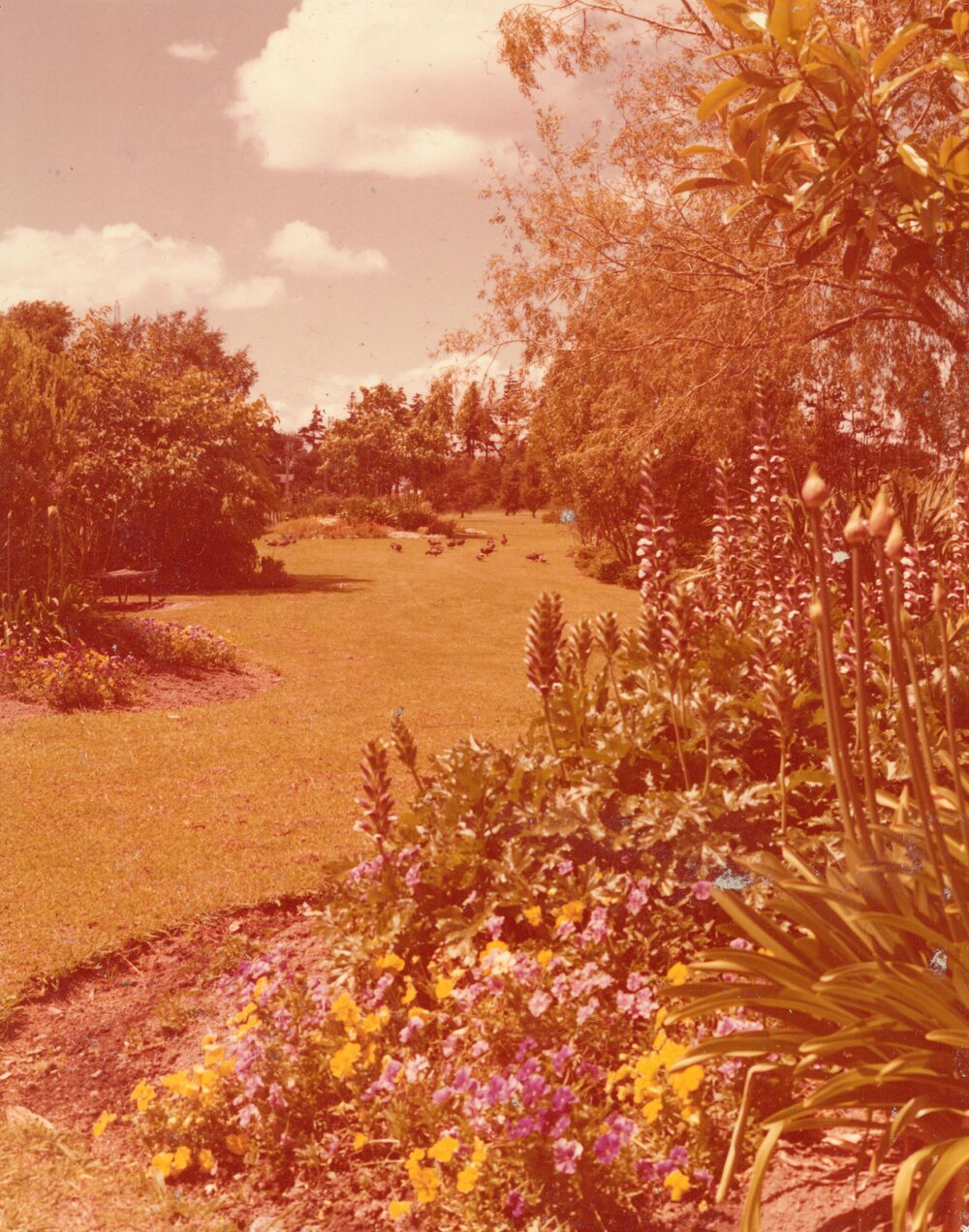 Landscaped gardens on Hamilton Campus