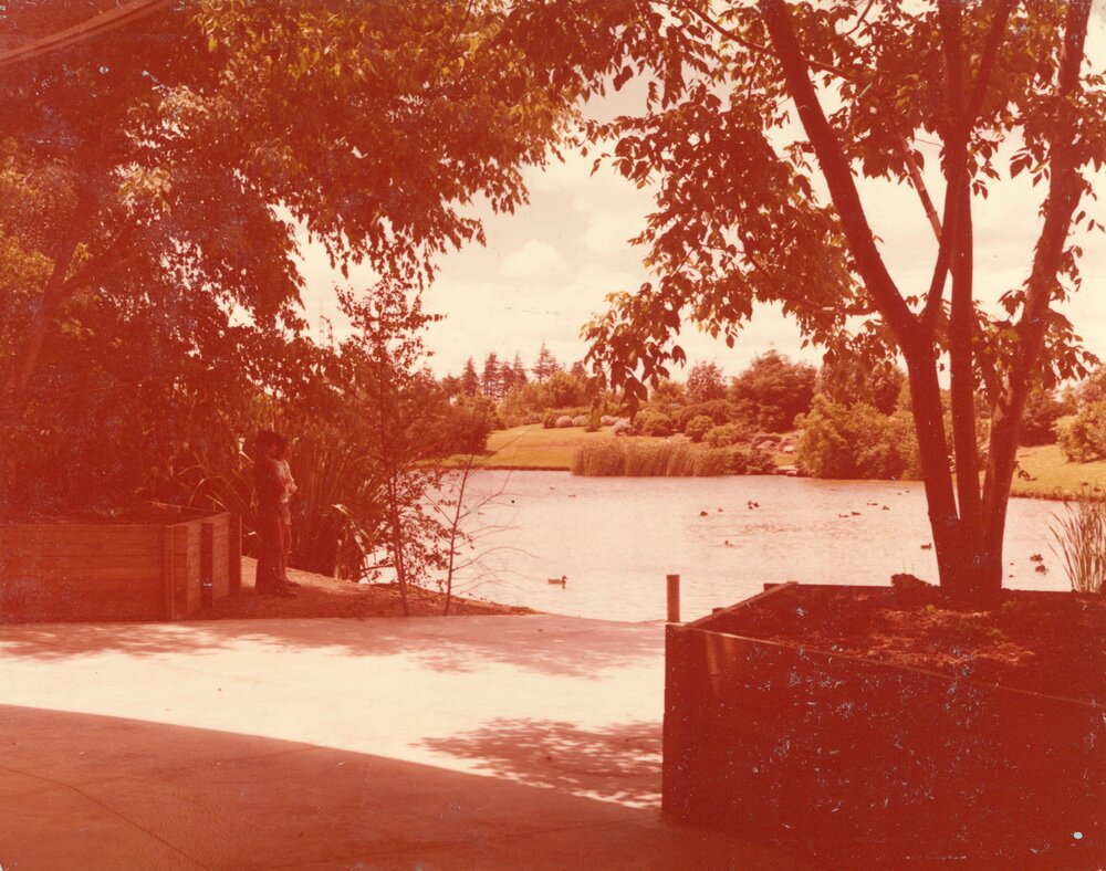 View of Oranga Lake from Oranga