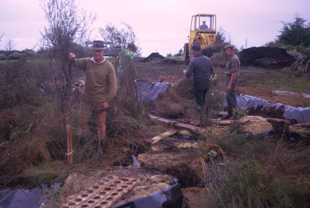 Large scale landscaping