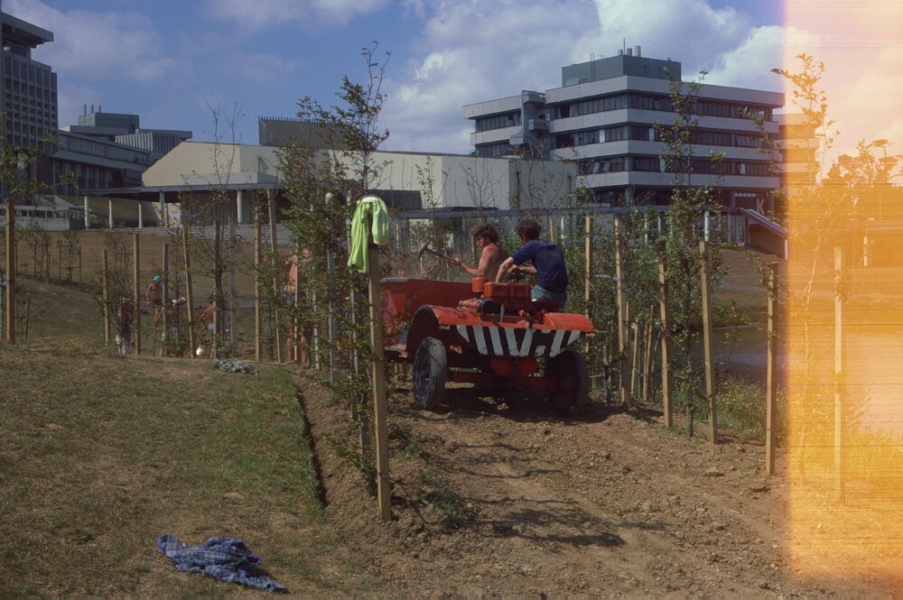 Construction of path and landscaping around Oranga Lake 01