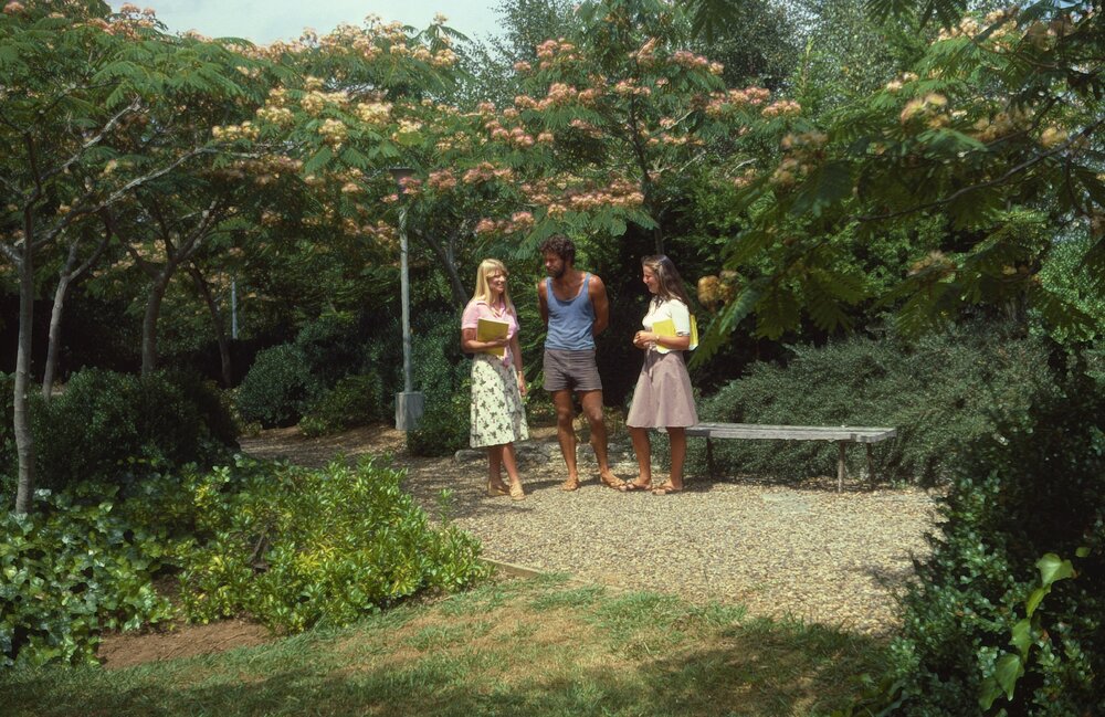 Students on pathway at Hamilton campus