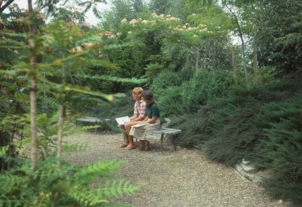 Students on bench seat at Hamilton campus